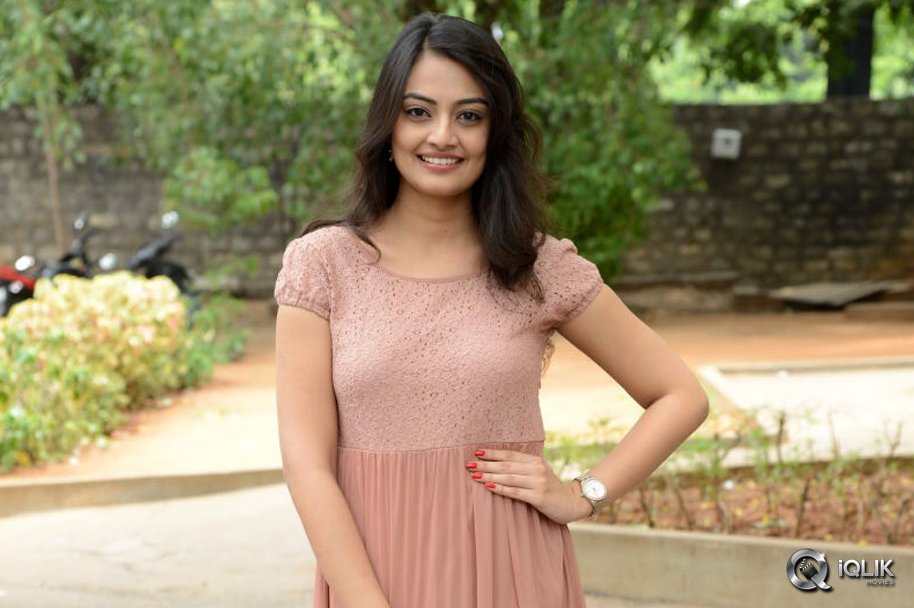 Nikitha-Narayan-at-Ladies-and-Gentlemen-Movie-Song-Launch